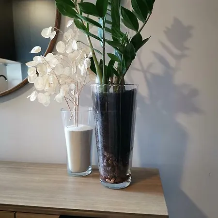 San Miguel 公寓 托雷莫利诺斯