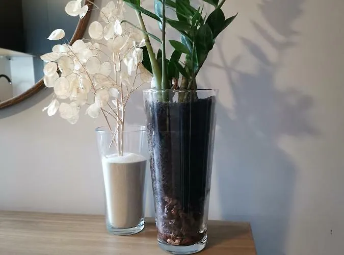 San Miguel 公寓 托雷莫利诺斯